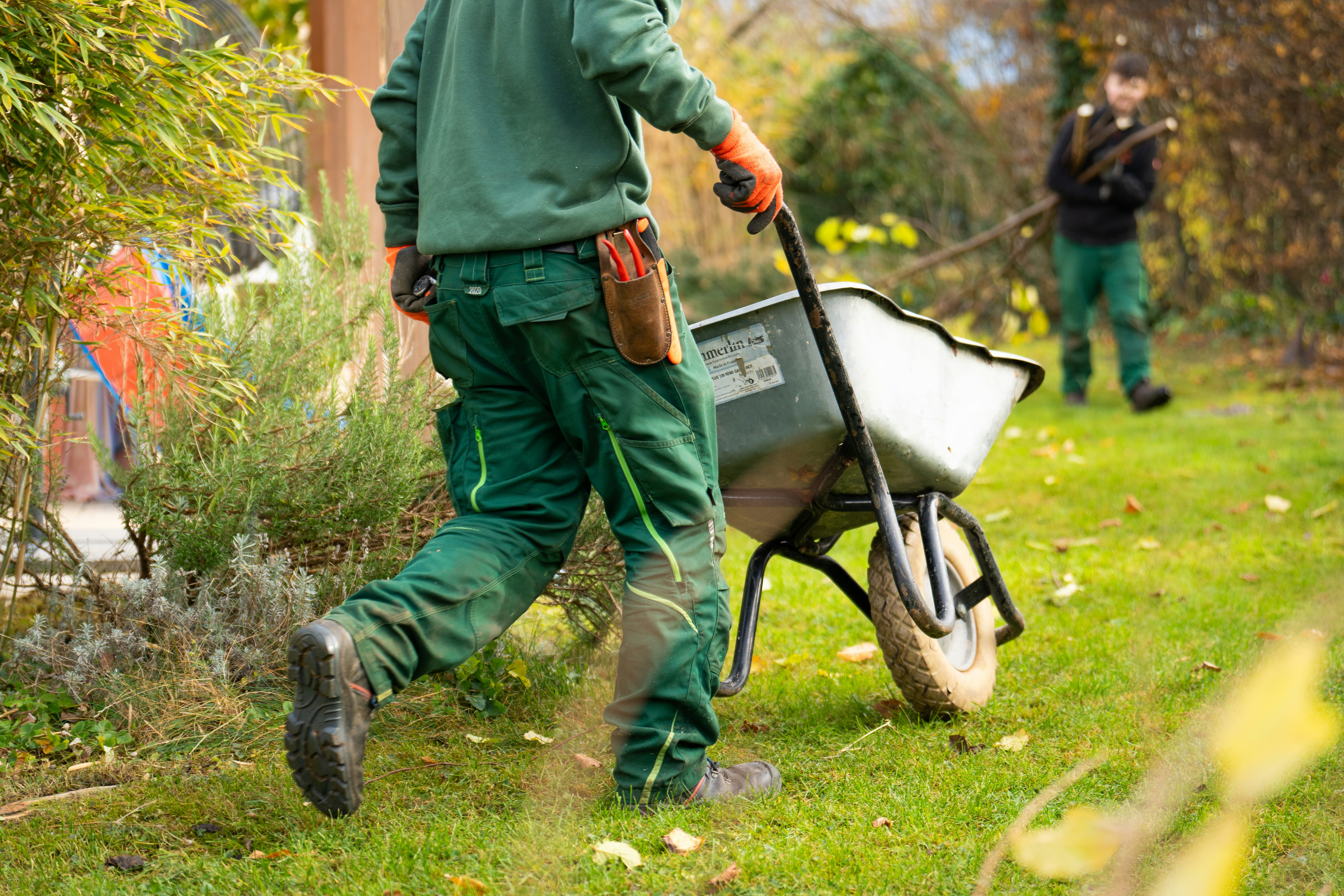 Landscaping crew at work with wheelbarrow