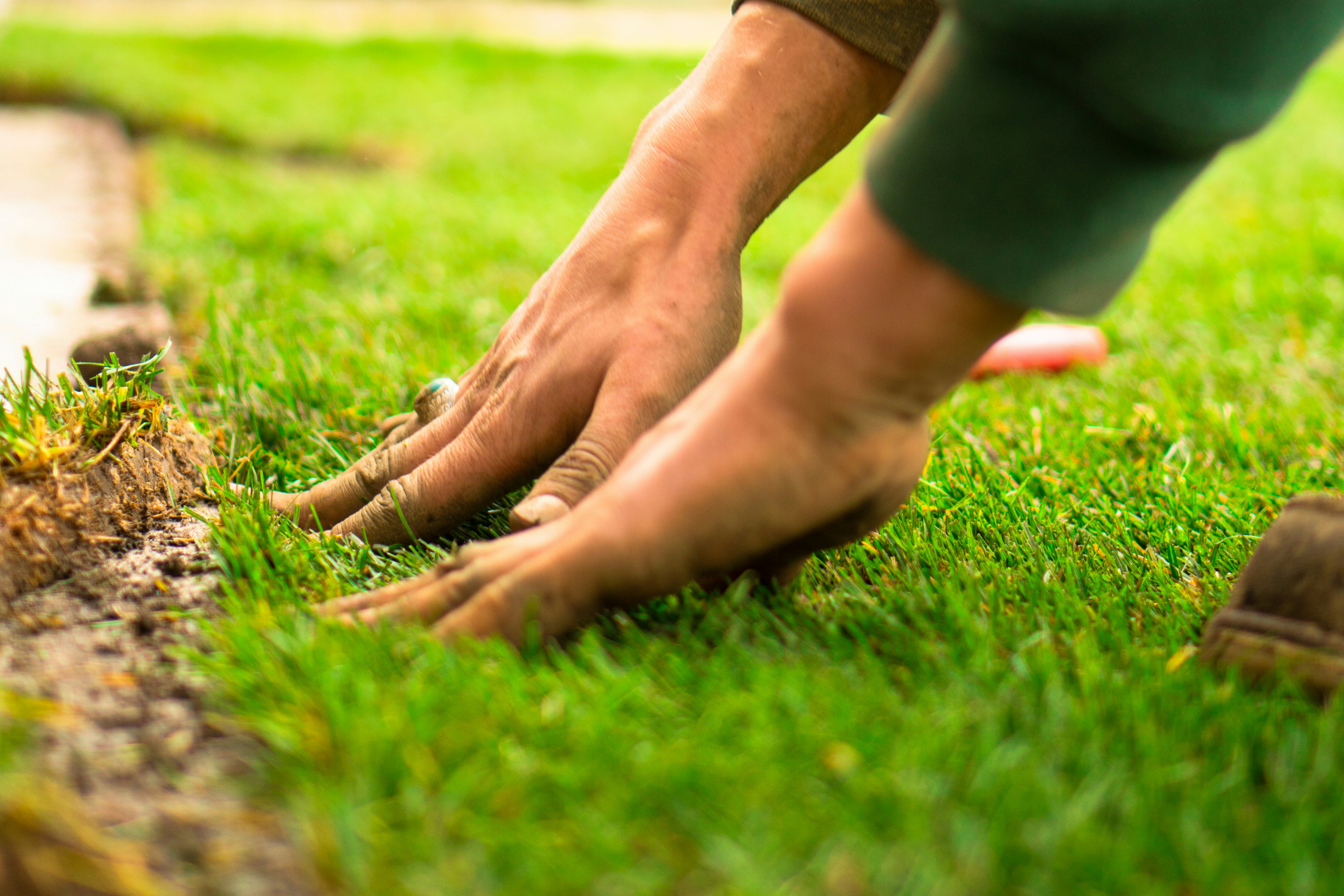 Professional sod installation by hand